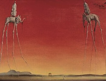 the elephants